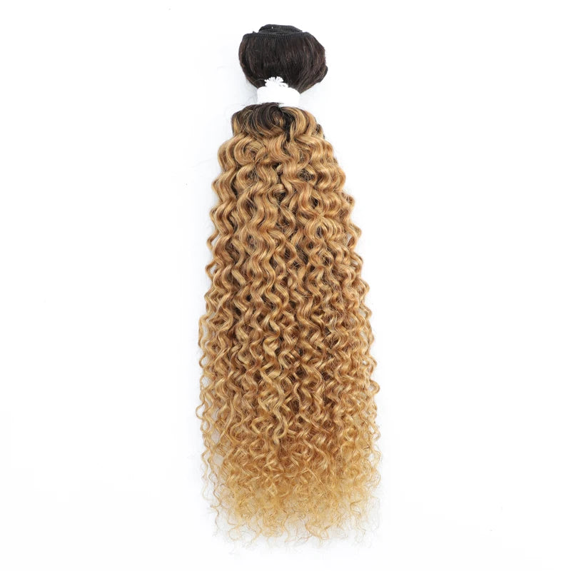 Brazilian Kinky Curly Human Hair Bundles - Various Ombre Brown Colors