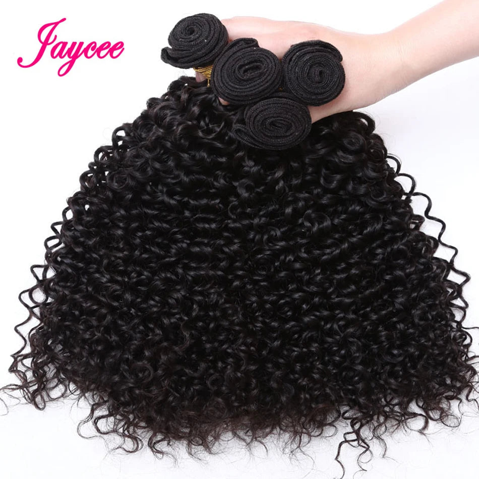 Kinky Curly Hair Raw Indian Hair Bundles In Natural Color
