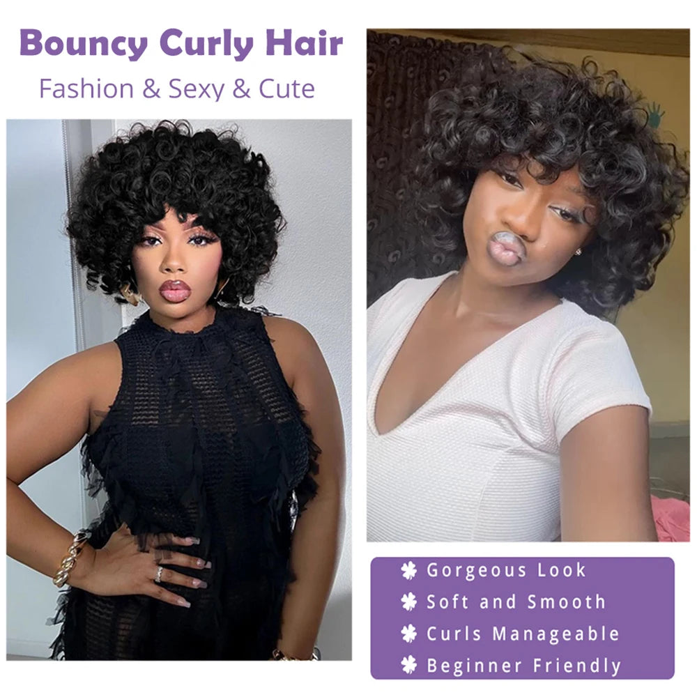 Afro Rose Curly Human Hair Wig with Bangs