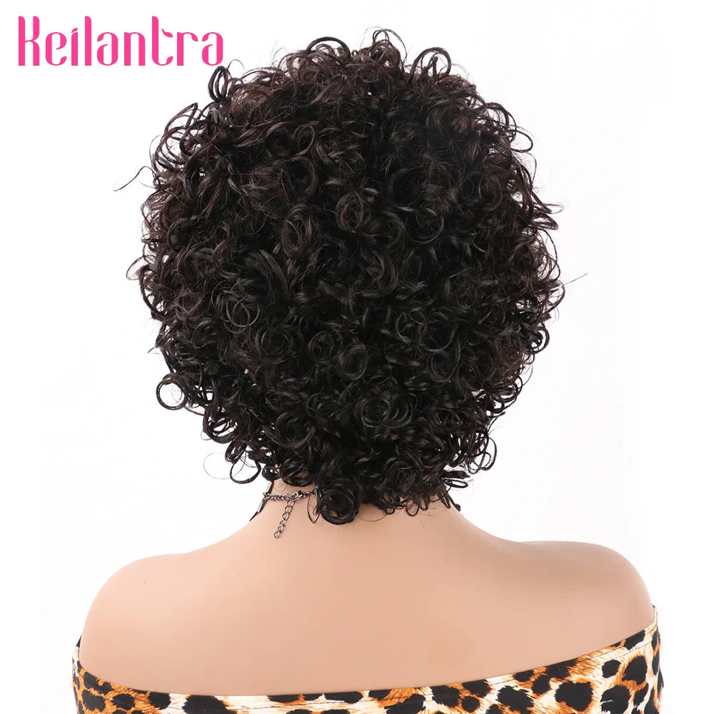 Pixie Cut Spring Curl - Lace Frontal Human Hair Wig - Various Colors Available