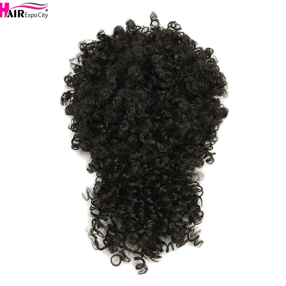 Short Kinky Curly Synthetic Ponytails With Bangs - Various Options Available
