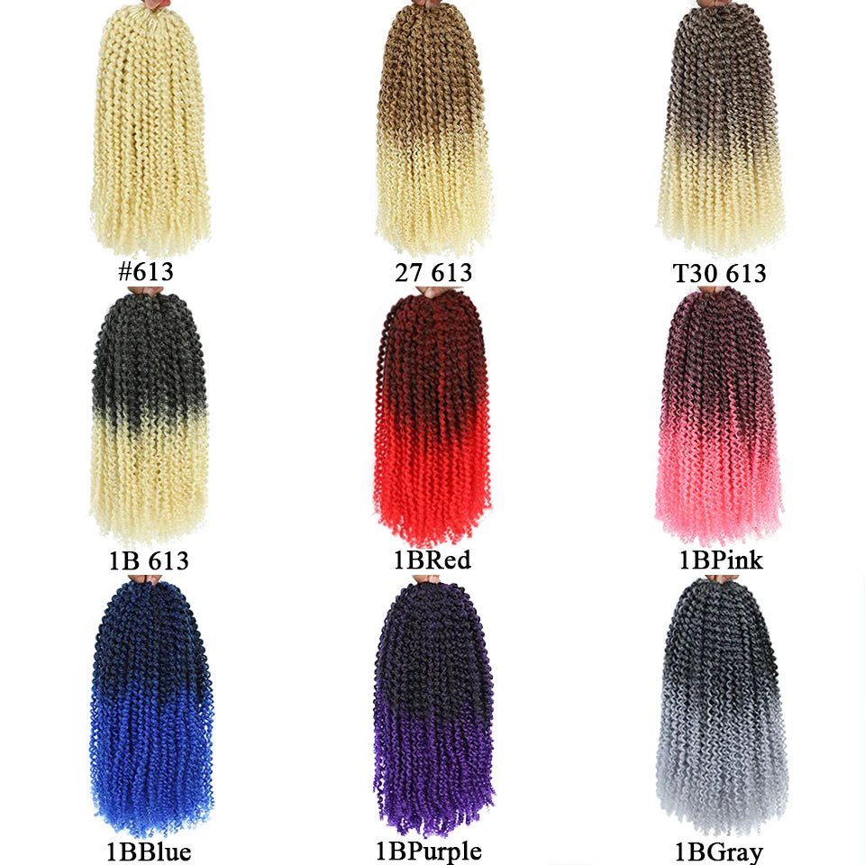 Curly Passion Twist Synthetic Crochet Hair - Various Colors Available