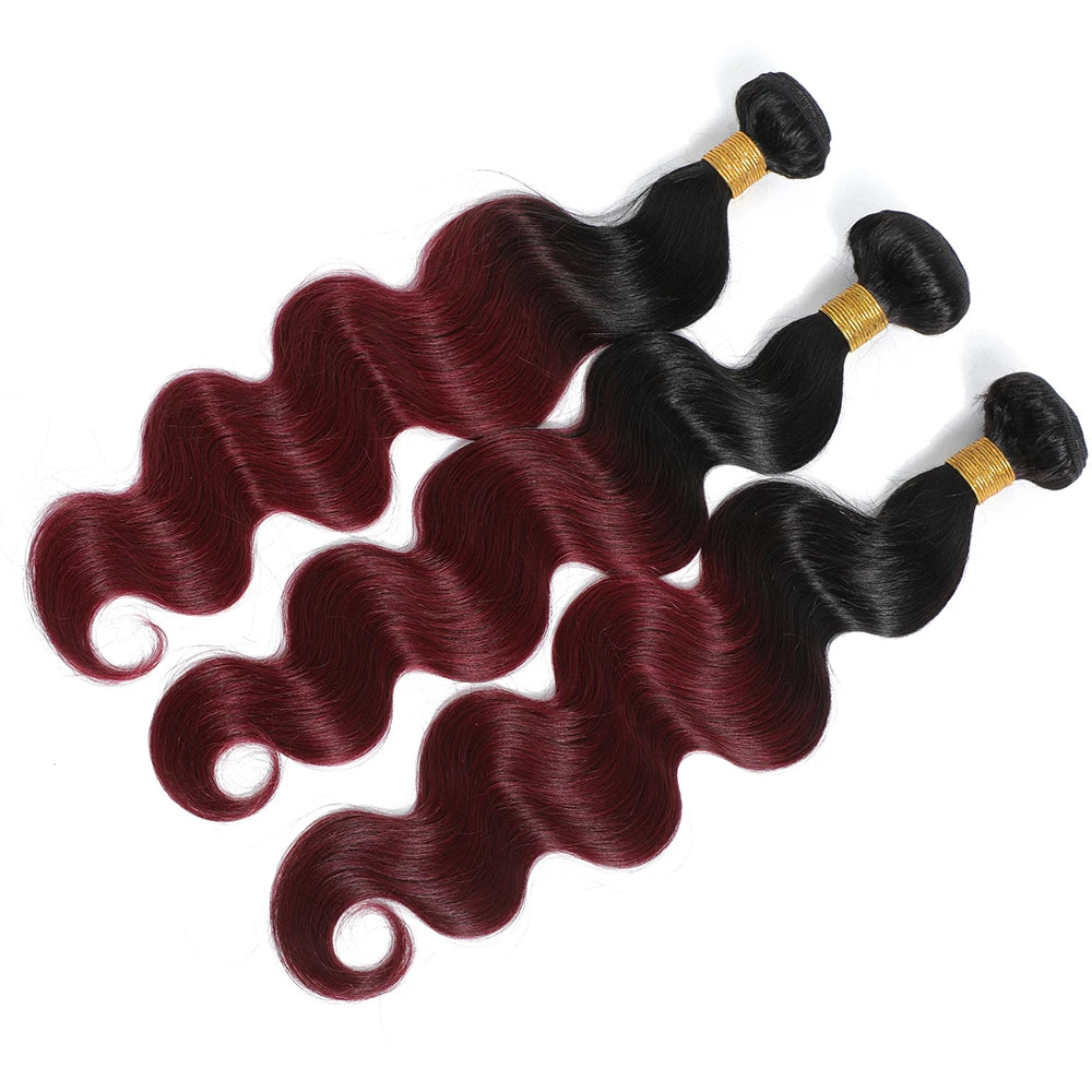 1B99J Body Wave Bundles With Closure Brazilian Human Hair