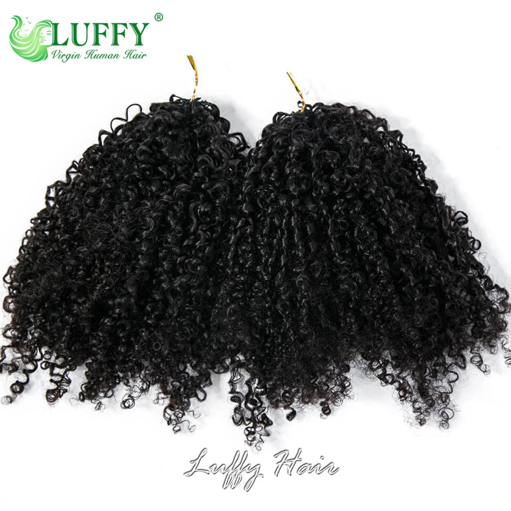 Kinky Curly Crochet Human Hair, Pre-Separated With Invisible Micro Loop