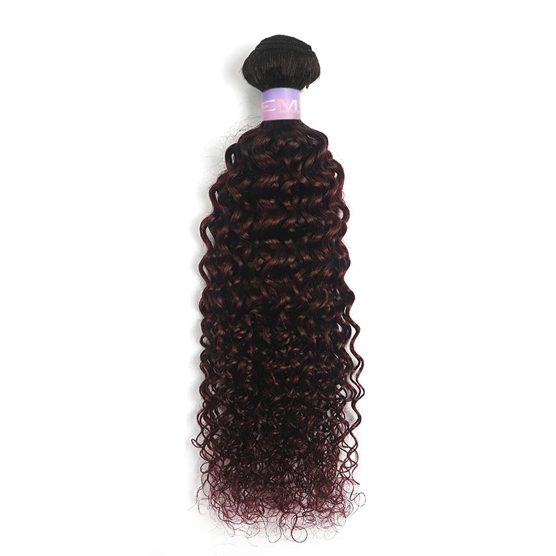 Brazilian Kinky Curly Human Hair Bundles - Various Ombre Brown Colors