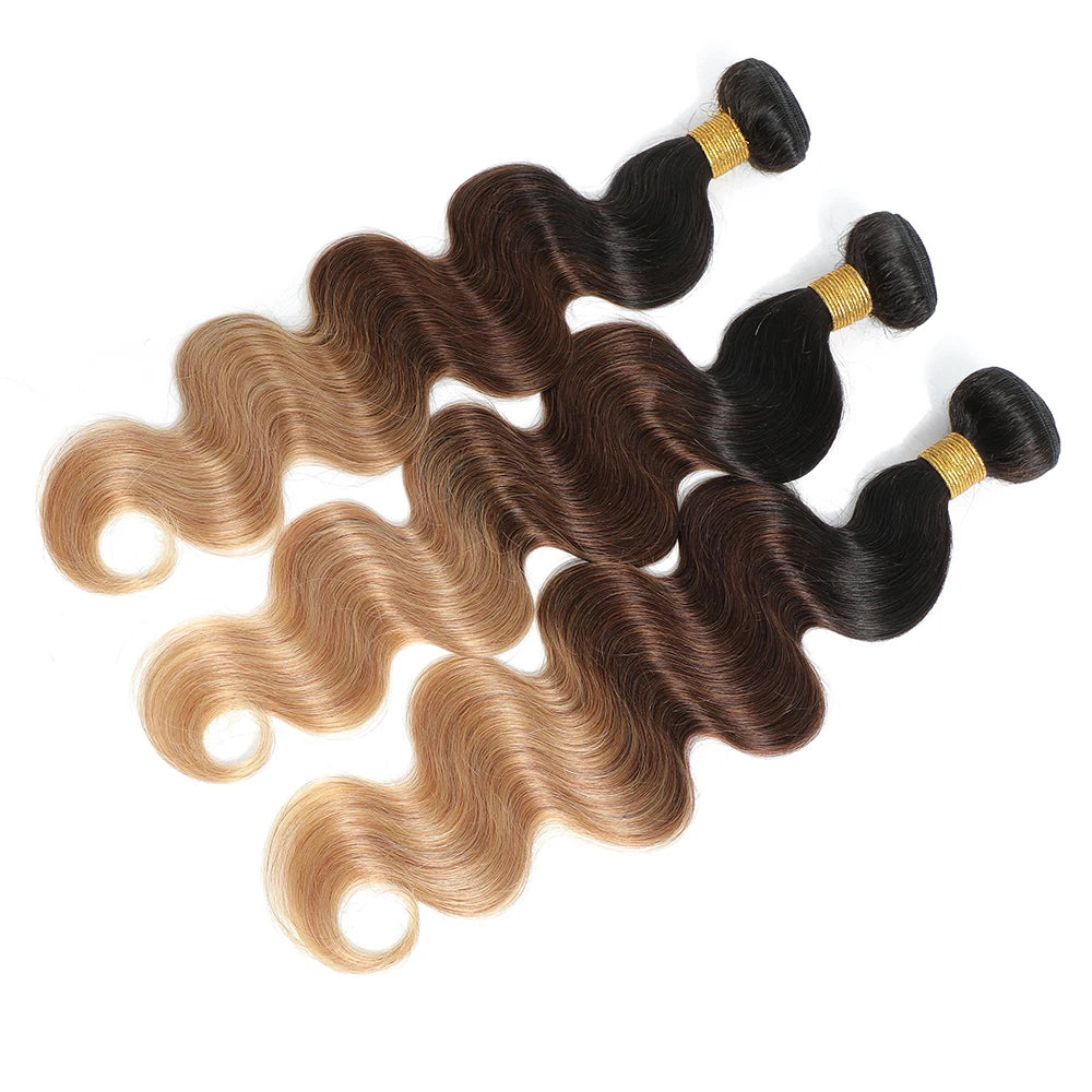 Body Wave Bundles Human Hair - Ombre Colored