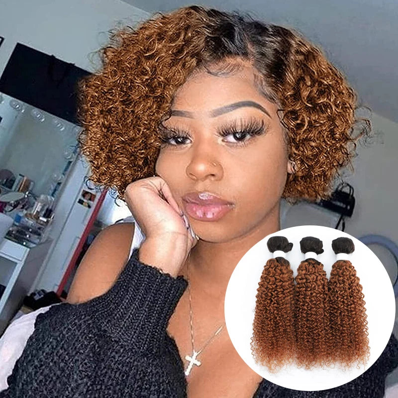 Brazilian Kinky Curly Human Hair Bundles - Various Ombre Brown Colors