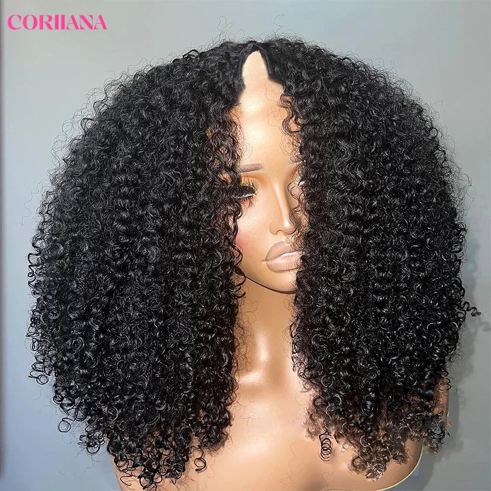 Kinky Curly V Part Human Hair Wig