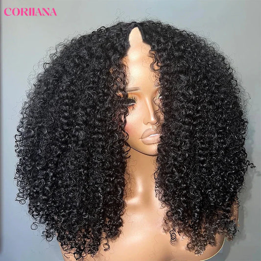 Kinky Curly V Part Human Hair Wig