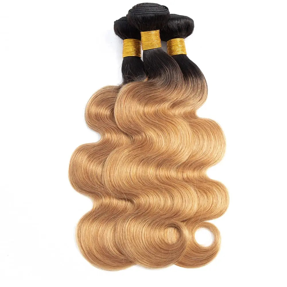 Body Wave Bundles Human Hair - Ombre Colored