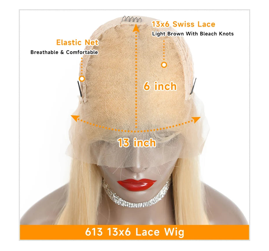 Raw Vietnamese Straight Silver Grey - HD Transparent Lace Frontal Human Hair Wig