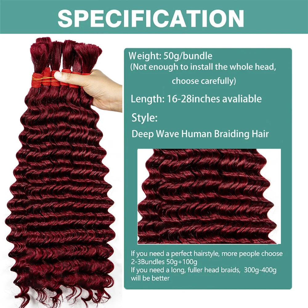 Wet and Wavy Human Hair Bundles for Braiding - Various Colors & Lengths Available