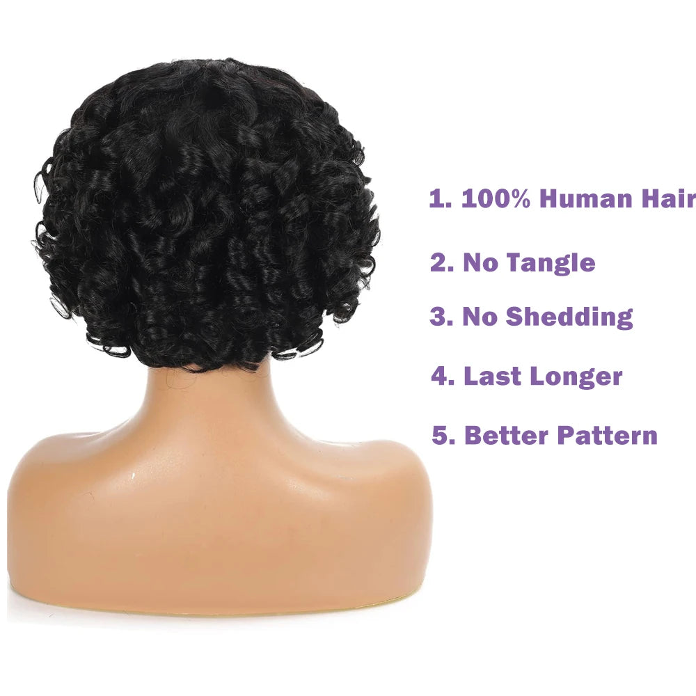 Big Curly Bob Glueless Human Hair Wig With Bangs