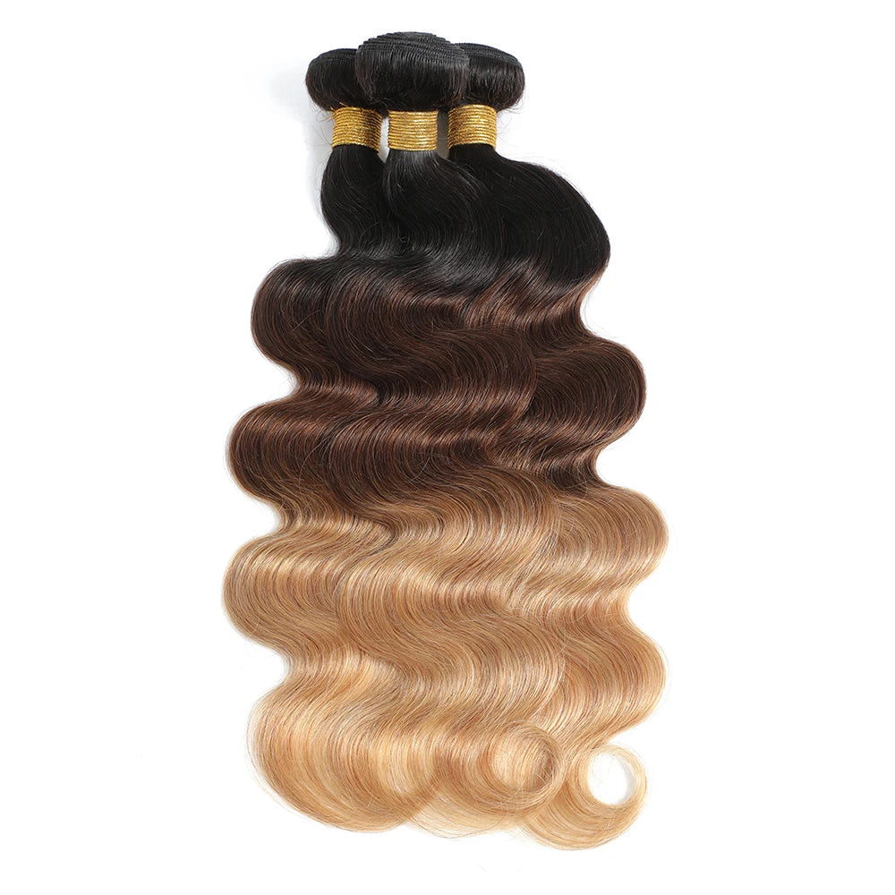 Body Wave Bundles Human Hair - Ombre Colored