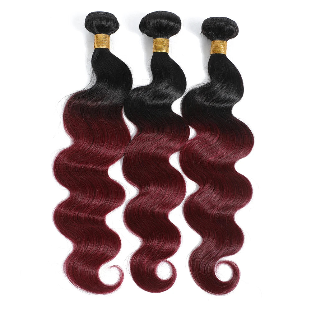 Ombre Body Wave 100% Unprocessed Virgin Brazilian Human Hair