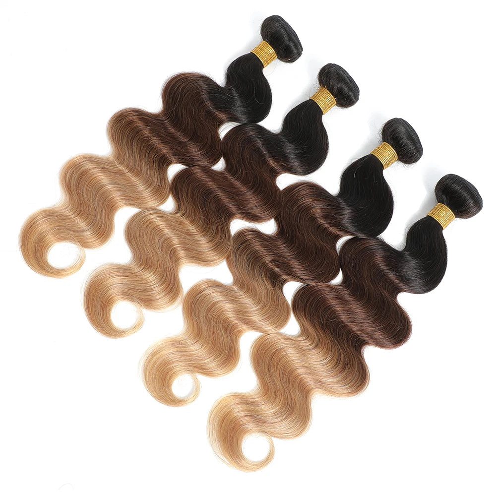 Body Wave Bundles Human Hair - Ombre Colored