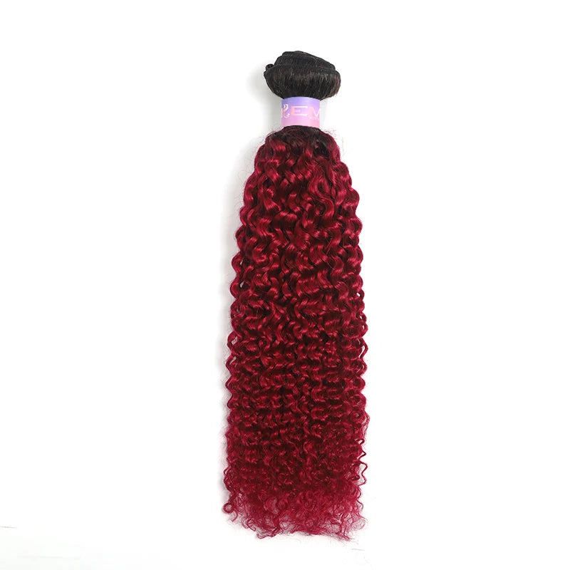 Brazilian Kinky Curly Human Hair Bundles - Various Ombre Brown Colors