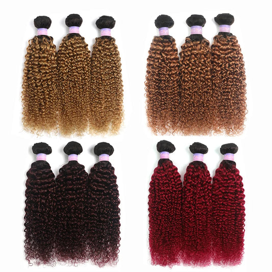 Brazilian Kinky Curly Human Hair Bundles - Various Ombre Brown Colors